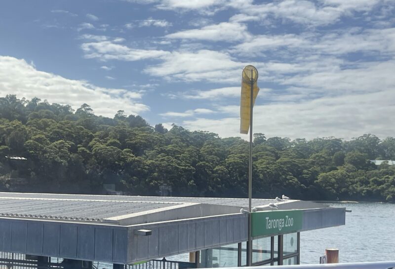 フェリーでタロンガ動物園に到着