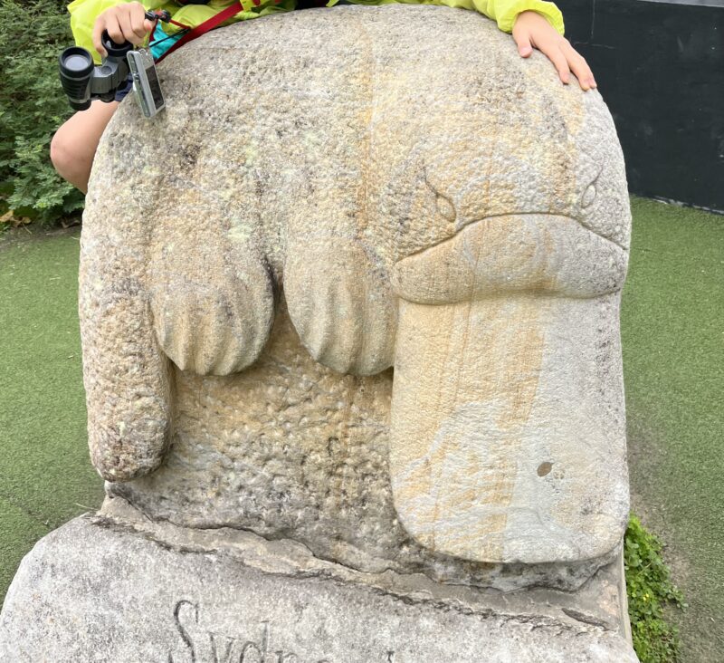 カモノハシのオブジェ