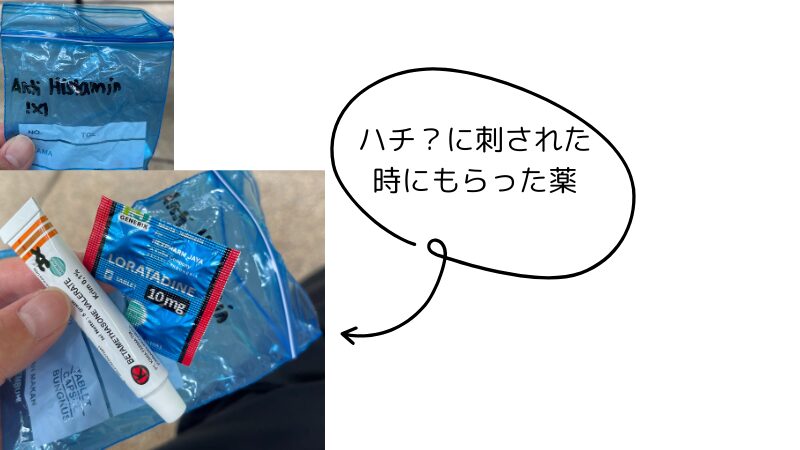 クラブメッドビンタン島でハチ?に刺されたワタシ。医務室で薬をもらいました
