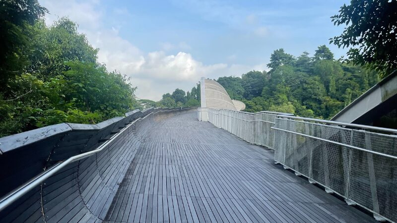 The-Southern- Ridges-Henderson-Henderson-Waves-in-singapore