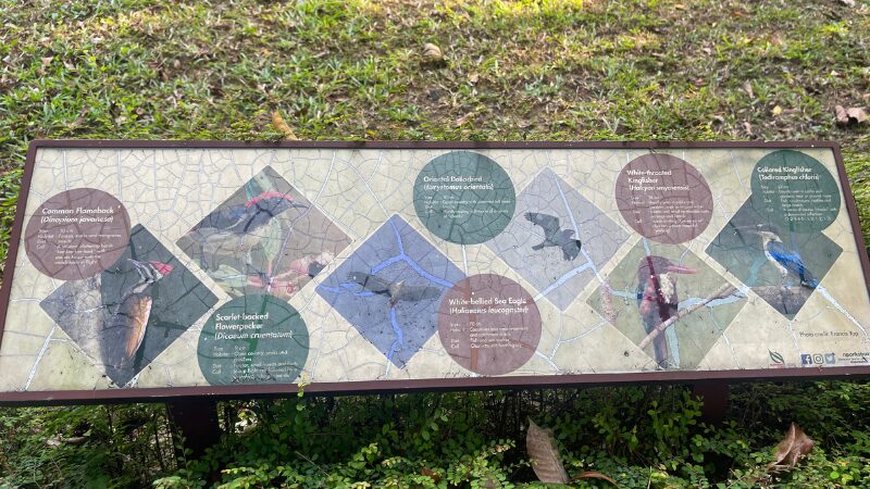 サザンリッジズの野鳥