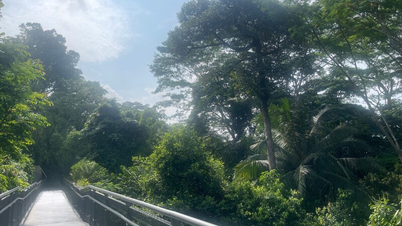 シンガポールのサザンリッジ