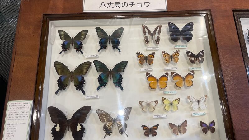 八丈島のビジターセンター