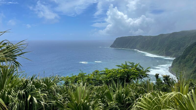 八丈島