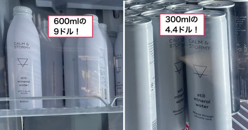 タロンガ動物園のお水は値段が高いので水筒持参をおすすめします