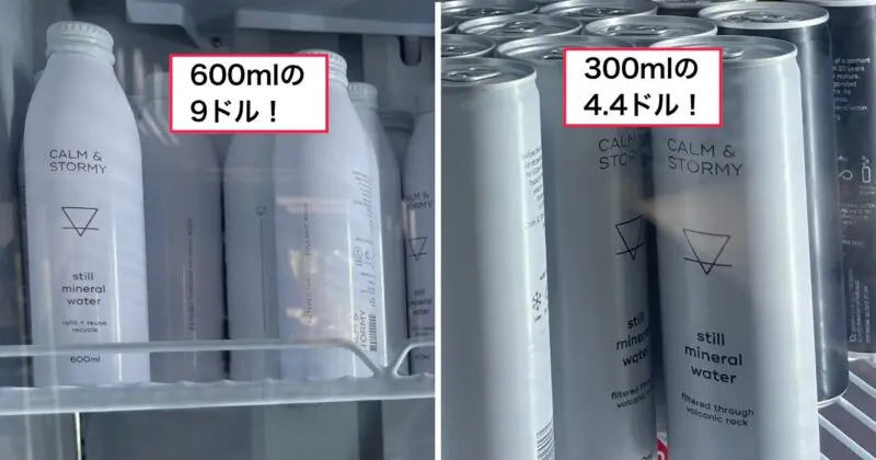 タロンガ動物園のお水は値段が高いので水筒持参をおすすめします