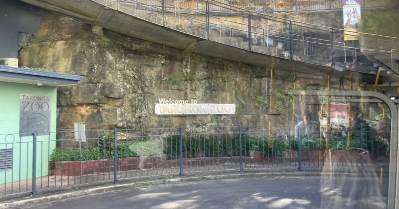 タロンガ動物園へ向かうバスに乗ると看板が