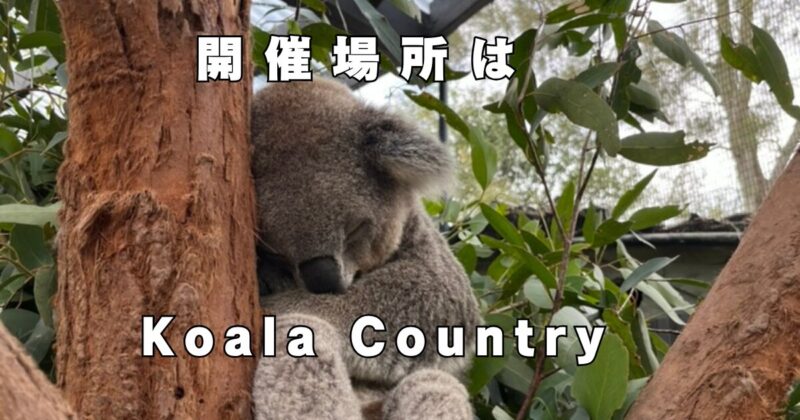 タロンガ動物園　コアラエンカウンター　基本情報
