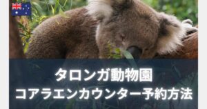 タロンガ動物園　コアラエンカウンターの予約方法