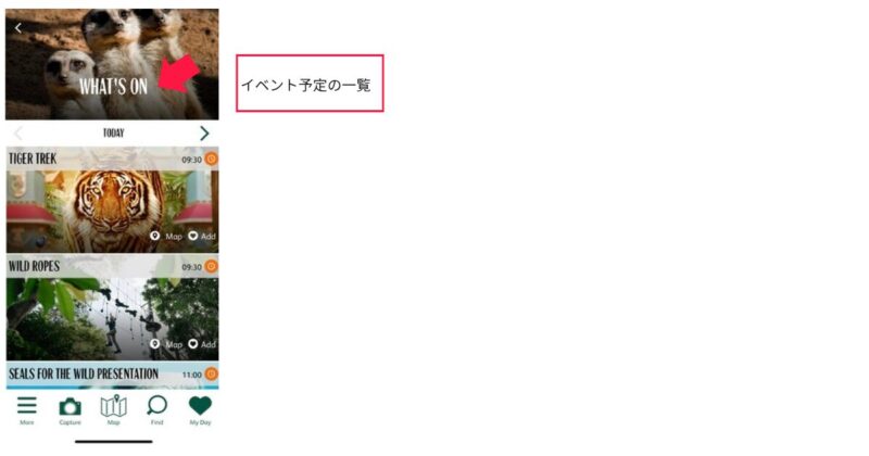 タロンガ動物園のコアラエンカウンター予約方法図解2