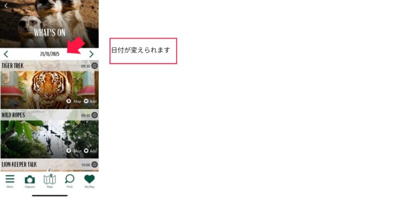 タロンガ動物園のコアラエンカウンター予約方法図解3