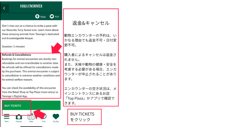 タロンガ動物園のコアラエンカウンター予約方法図解6