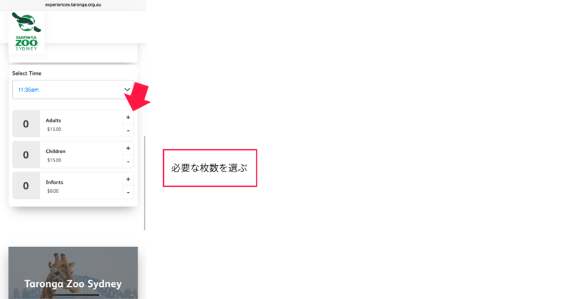 タロンガ動物園のコアラエンカウンター予約方法図解10