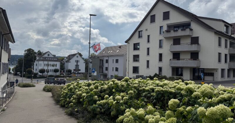 Kilchberg-Station-Neibhours