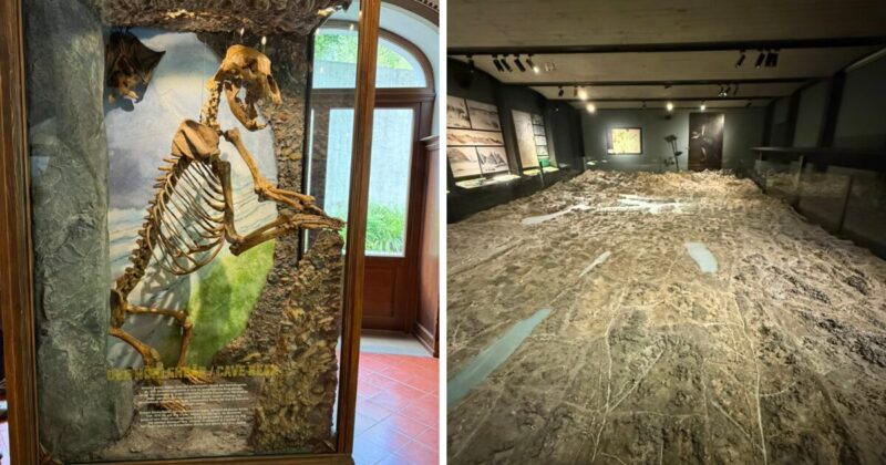 ルツェルンにあるスイスハウス博物館にある化石やスイスのジオラマ