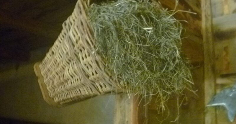 スイス マイエンフェルトにあるハイジ村。ハイジの物語を再現した藁