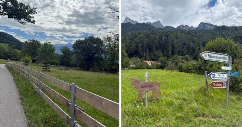 スイス マイエンフェルト駅からハイジコースをハイキングしている時に見えるぶどう畑