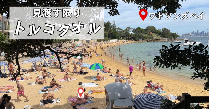 ワトソンズベイでもビーチのお供はレジャーシートではなくトルコタオル