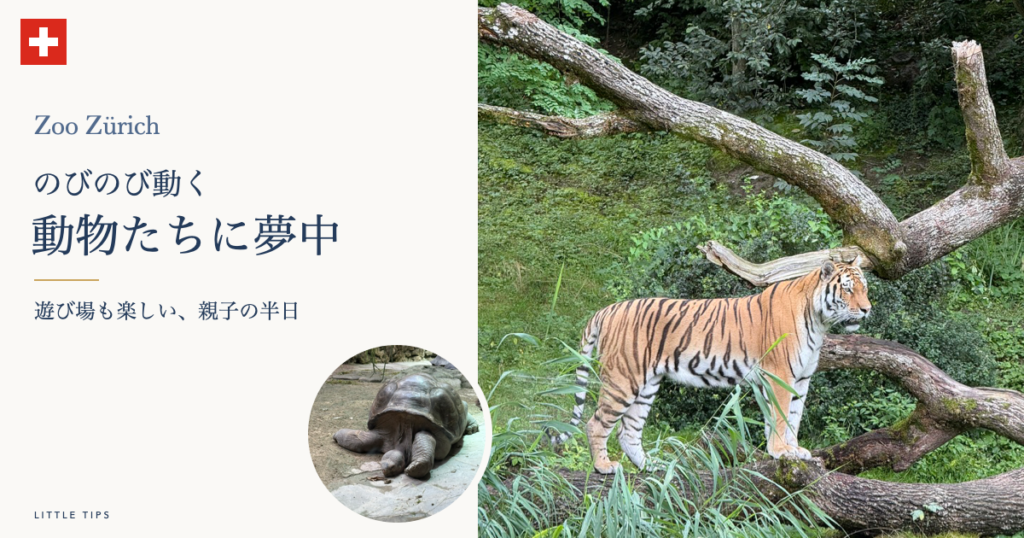 チューリッヒ動物園のトラとカメ。親子で楽しむ動物と遊び場