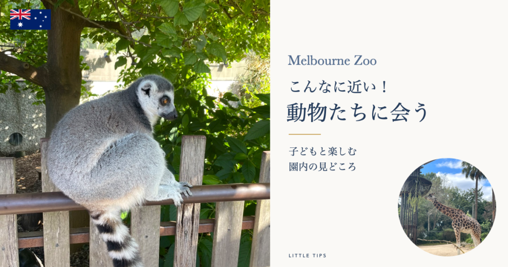 メルボルン動物園で間近に見たキツネザルとキリン