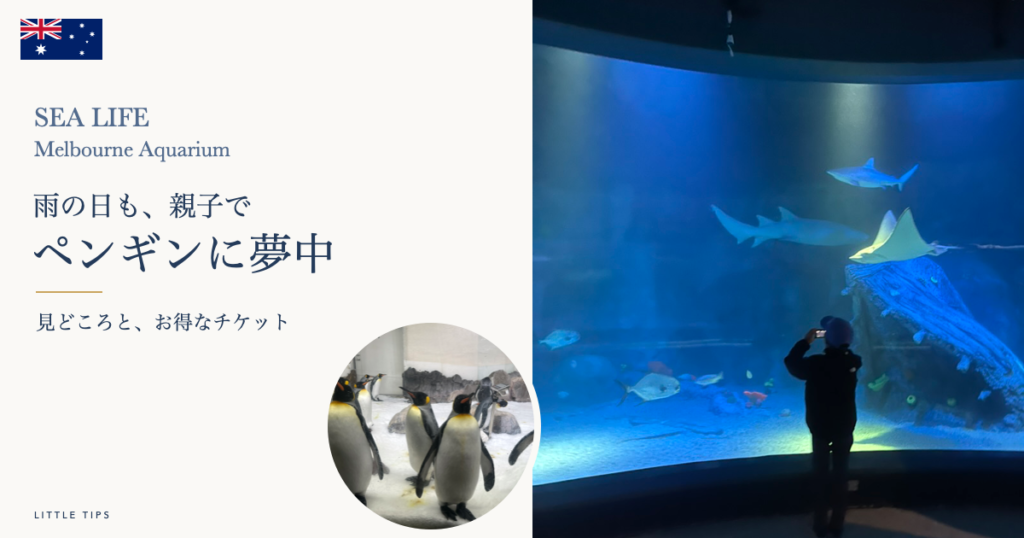 シーライフ・メルボルン水族館の大水槽を眺める子どもとペンギン