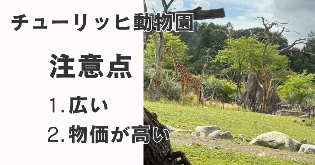 チューリッヒ動物園の注意点