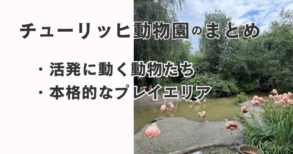 チューリッヒ動物園のまとめ