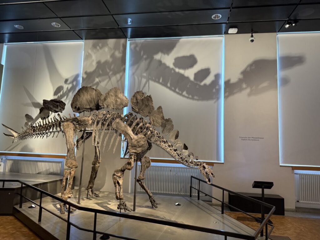 チューリッヒ自然史博物館に展示された恐竜の化石
